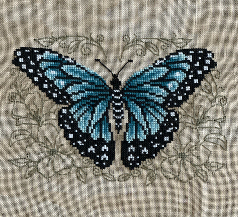 Shannon Christine - Blue Butterfly