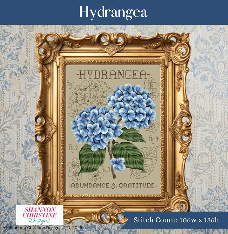 Shannon Christine - Hydrangea