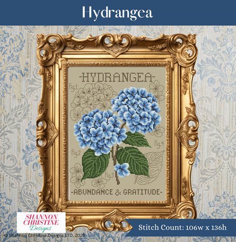 Shannon Christine - Hydrangea