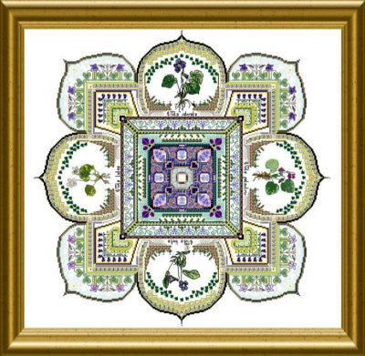 Violet Patch
